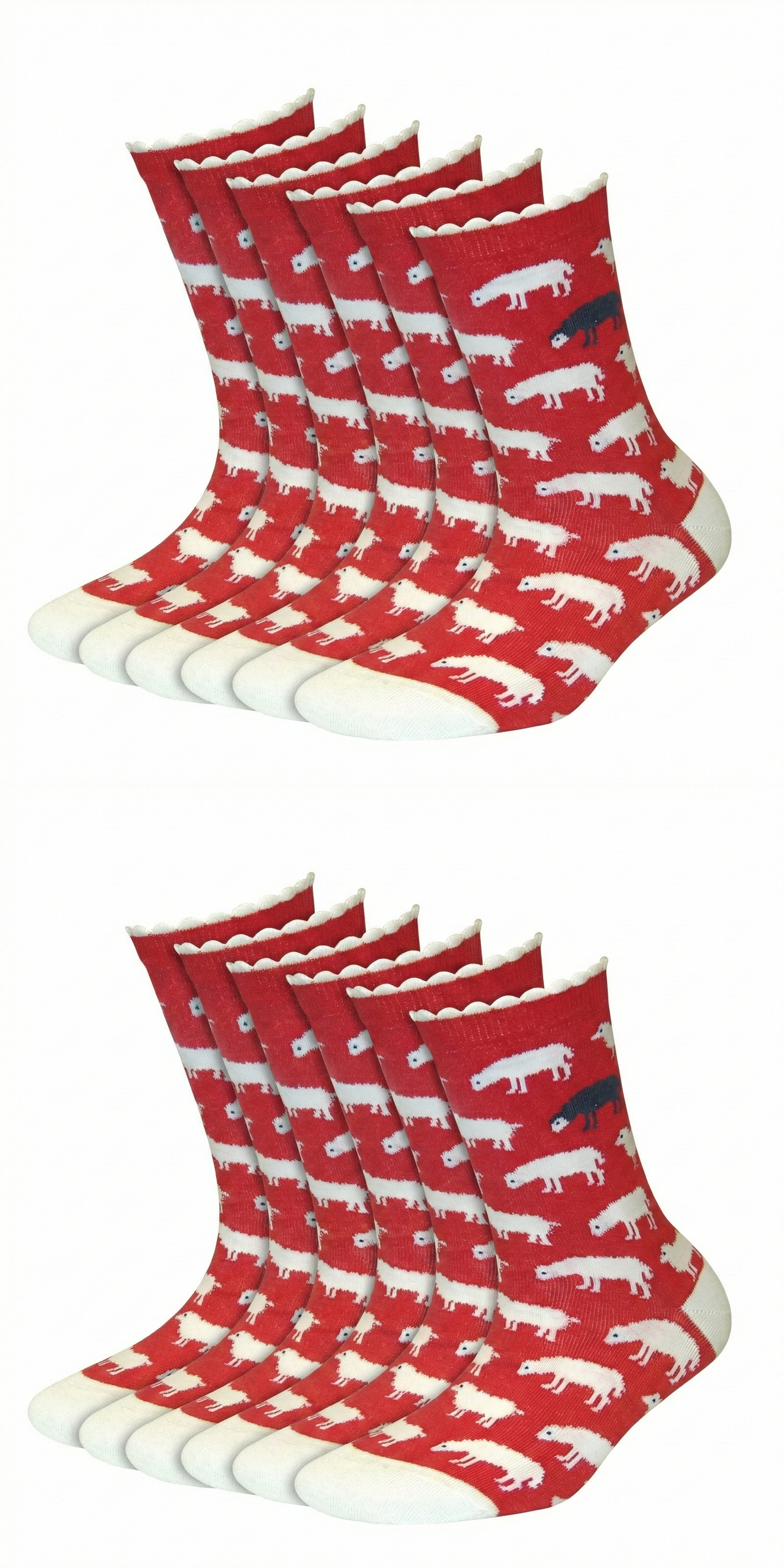 Motivsocken Schafe Bio Baumwolle