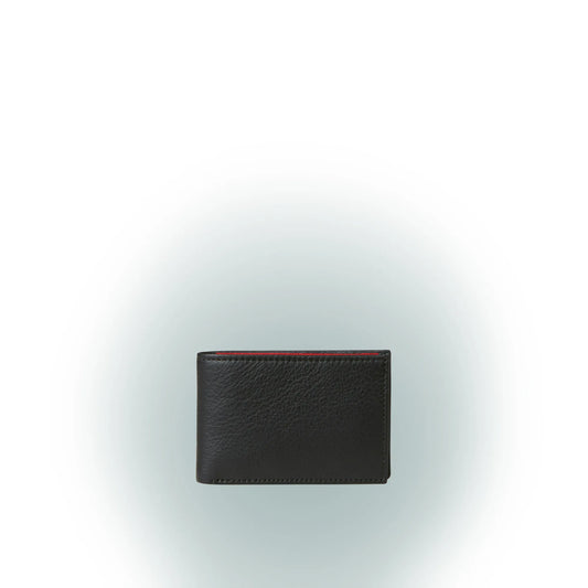 Pilsen Kleinste Geldbörse